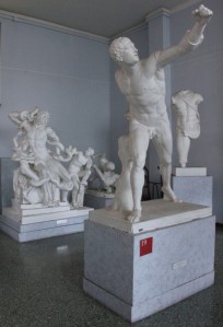 Museo Dell'Arte classica Sapienza (12)