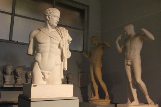 Museo Dell'Arte classica Sapienza (5)